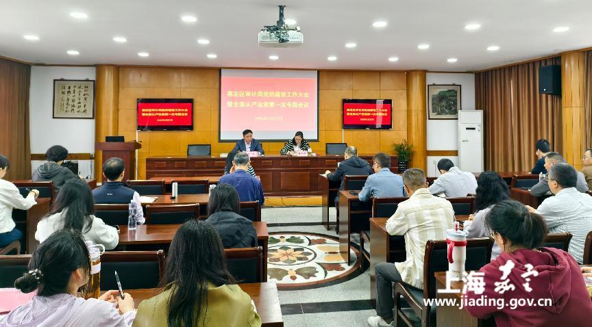 嘉定区审计局召开2025年党的建设工作大会暨全面从严治党第一次专题会议  